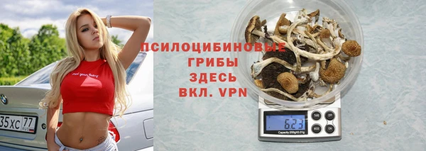 apvp Богородск