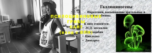 твердый Богданович