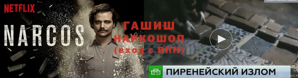 apvp Богородск