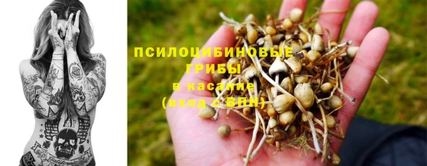 твердый Богданович