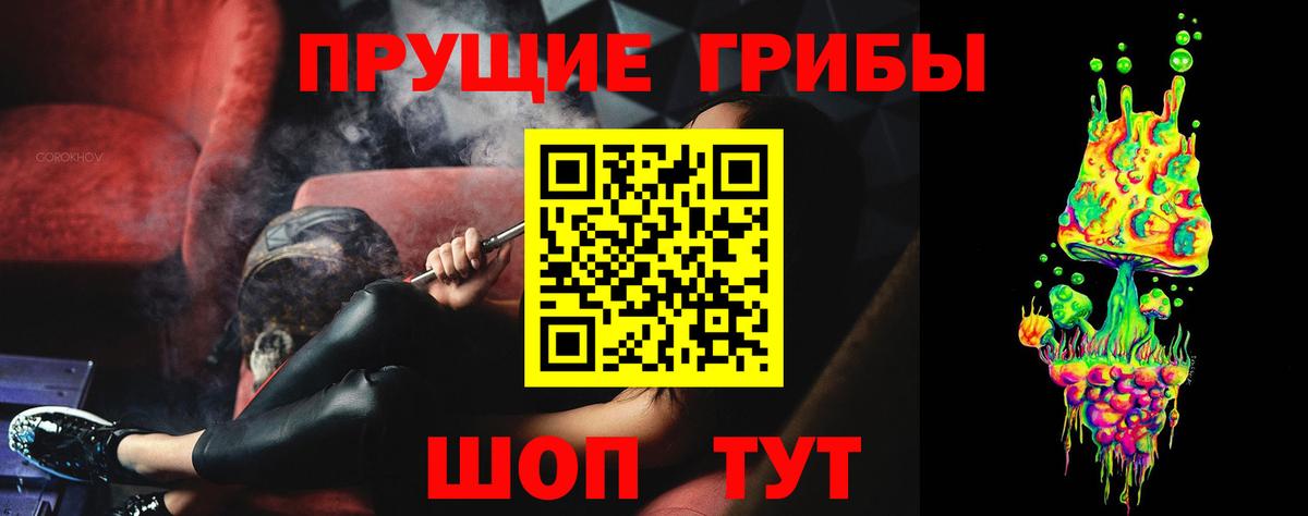 Псилоцибиновые грибы MAGIC MUSHROOMS  Вход с VPN  как найти закладки  Буйнакск  Галлюциногенные грибы GOLDEN TEACHER 