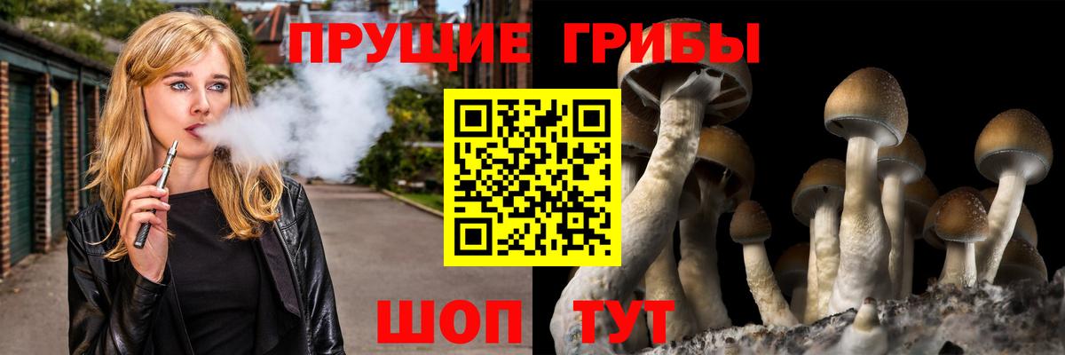 Псилоцибиновые грибы прущие грибы Буйнакск
